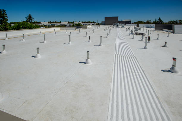Best Skylight Installation and Repair  in Wamac, IL